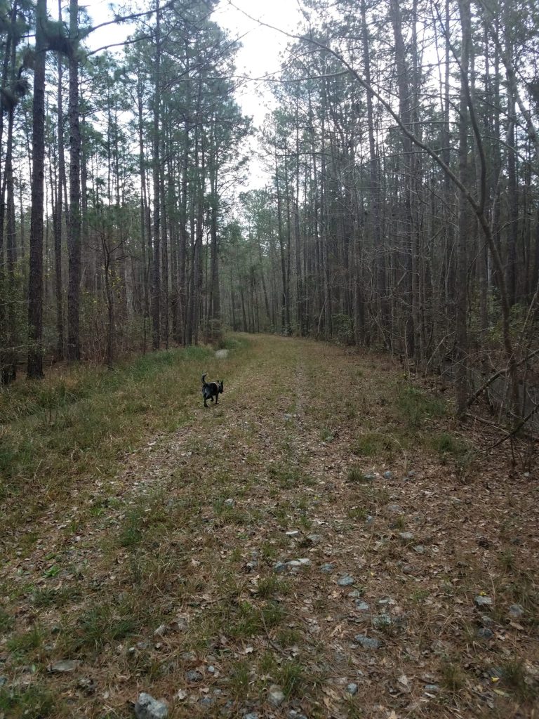 Hiking the Old Loop Trail with Radar
