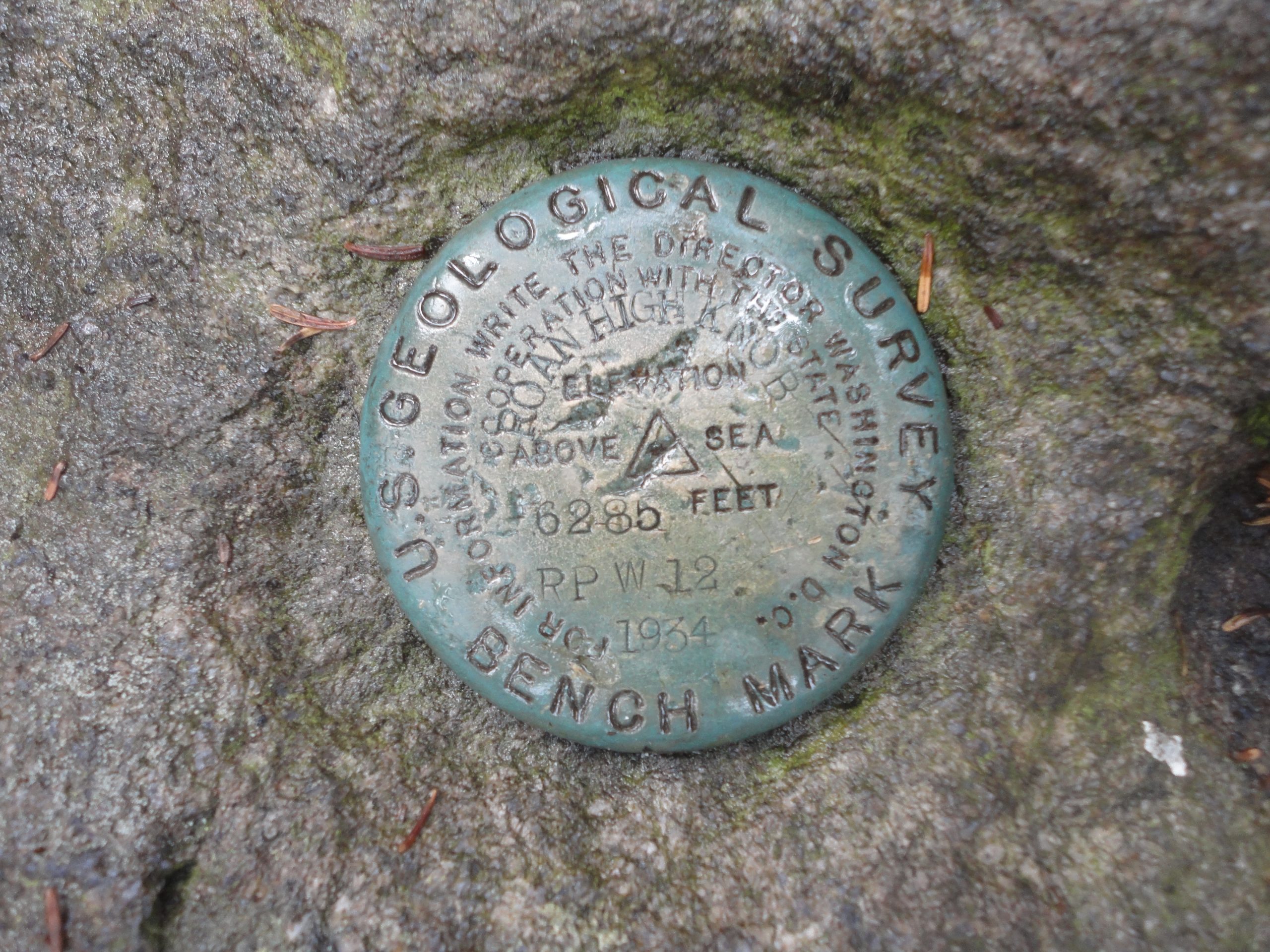 Roan High Knob Survey Marker