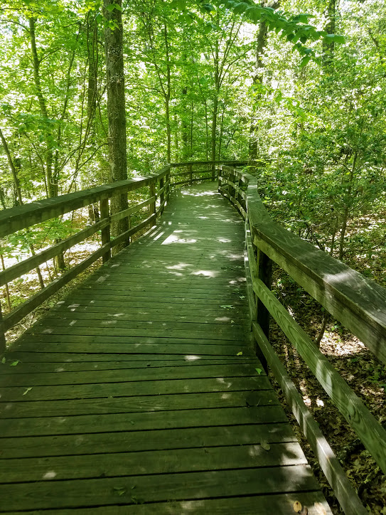 Hiking South Carolina – Congaree National Park – Every Bit The Journey