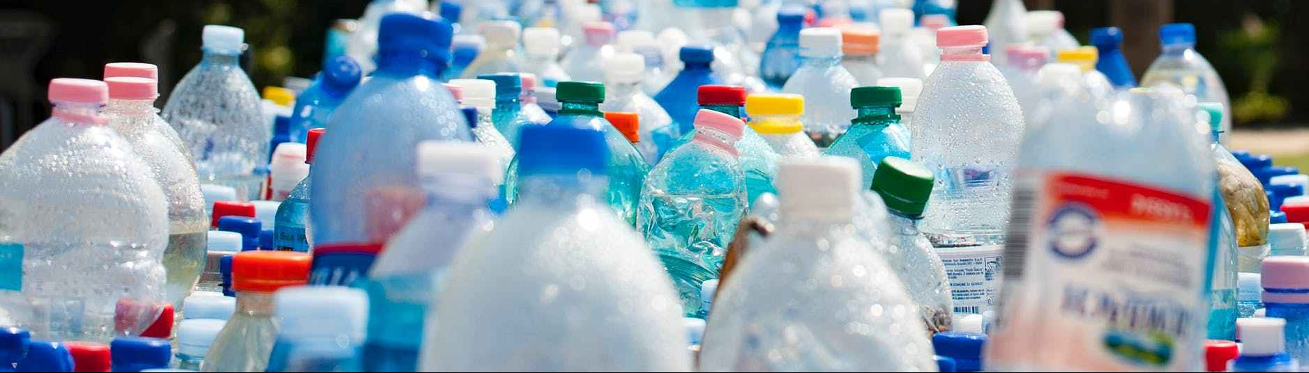 Photo by mali maeder on Pexels.com