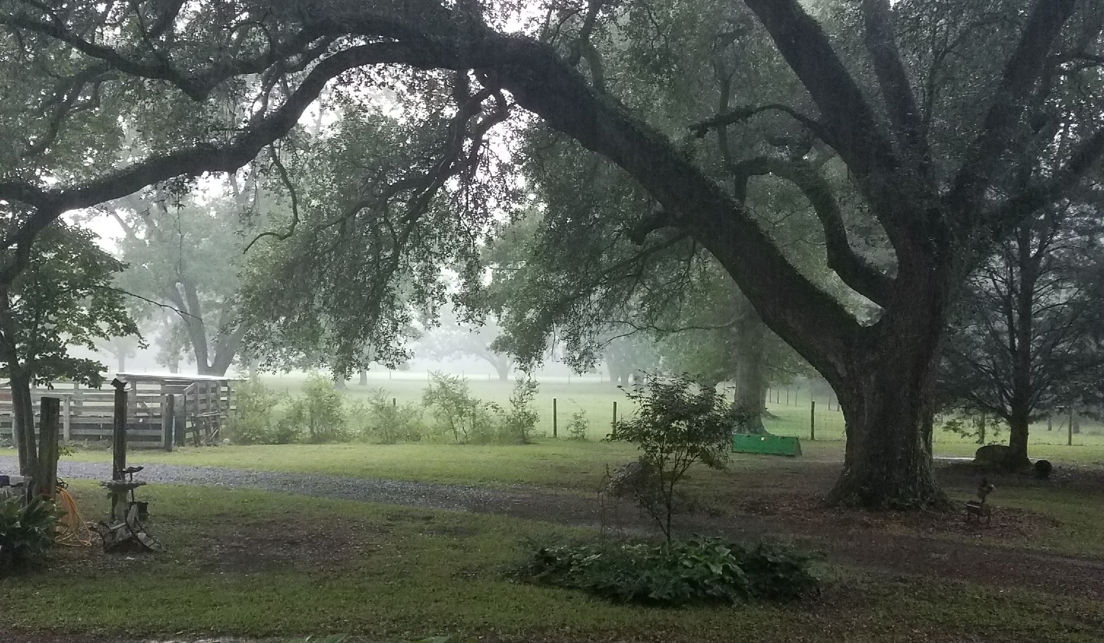 A rainy day on the farm, July 4th 2019.