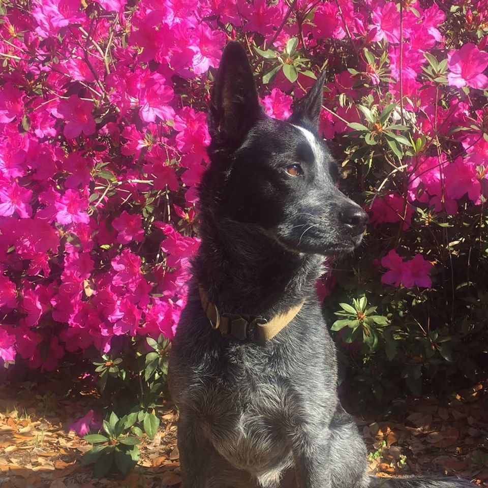 Radar on watch, 1st day of Spring