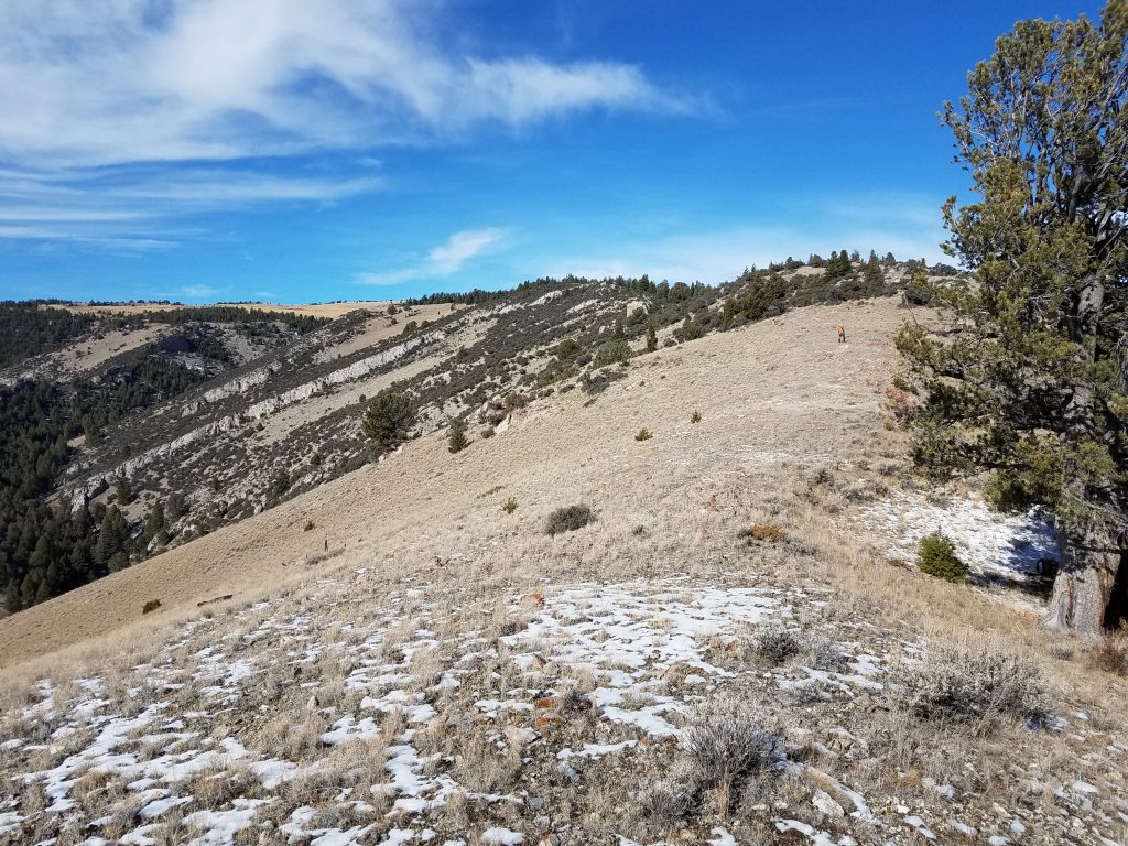 We ate a lunch here under the large tree near the ridge.