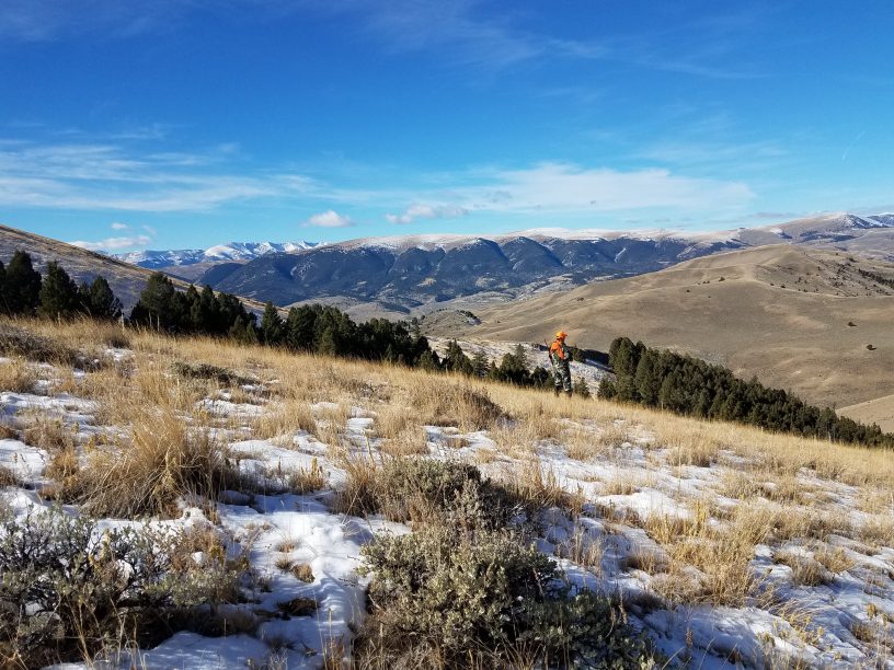Mountains of Montana