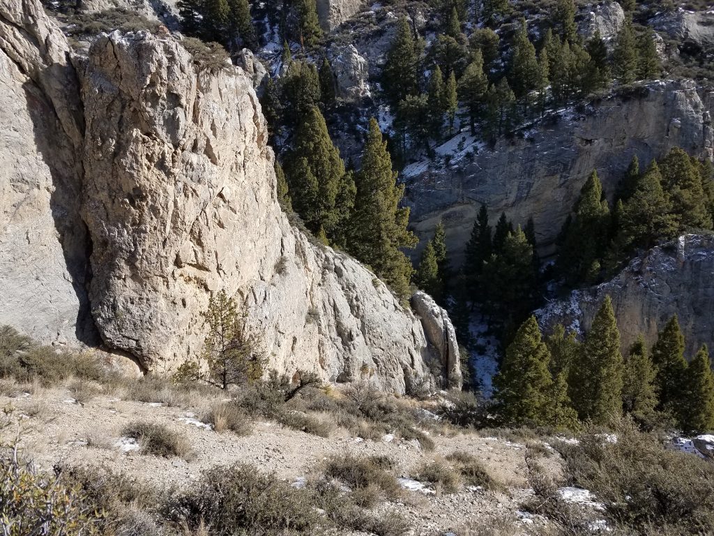 Exploring canyons in Montana