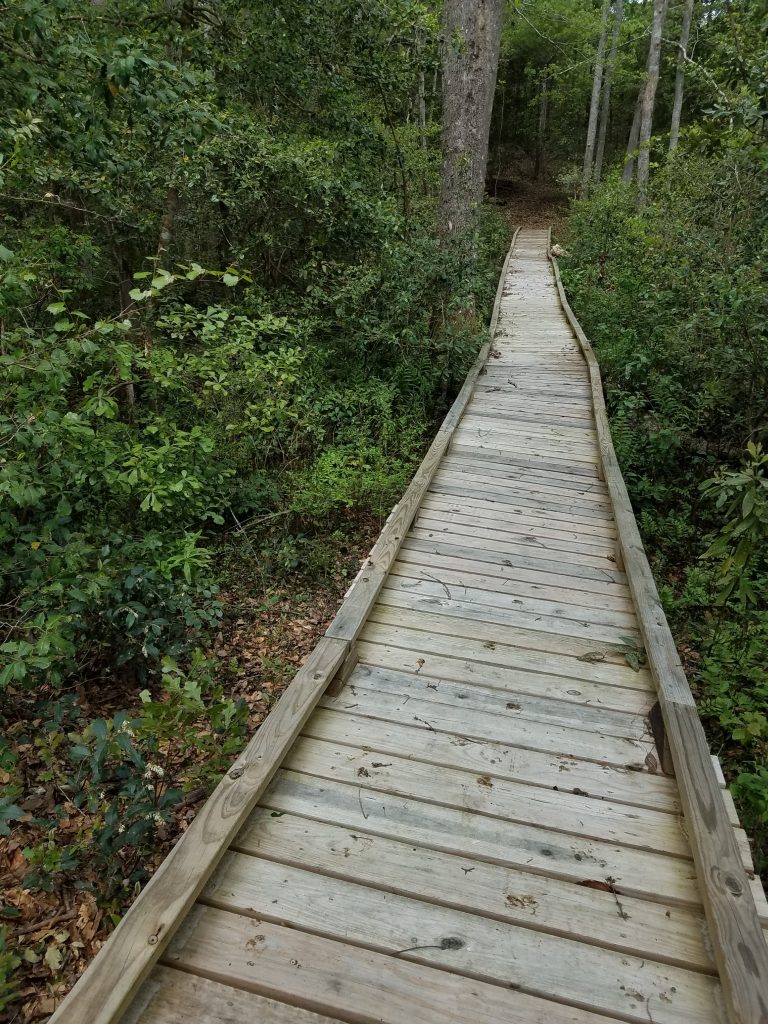 Lake Marion Passage - Foot bridge across the swamp
