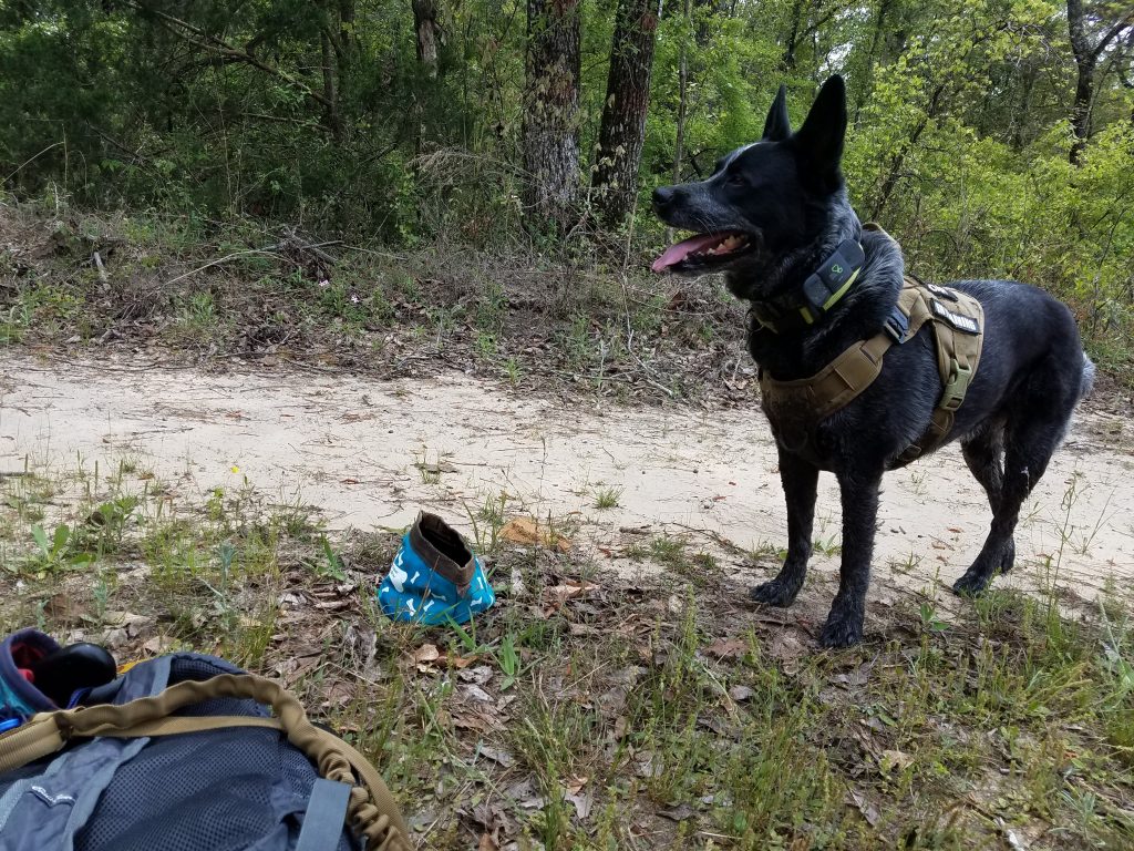 Lake Marion Passage water break