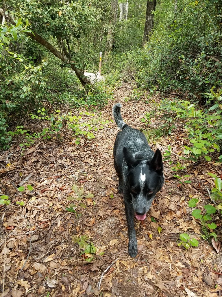 Hiking Lake Marion Passage trail with Radar