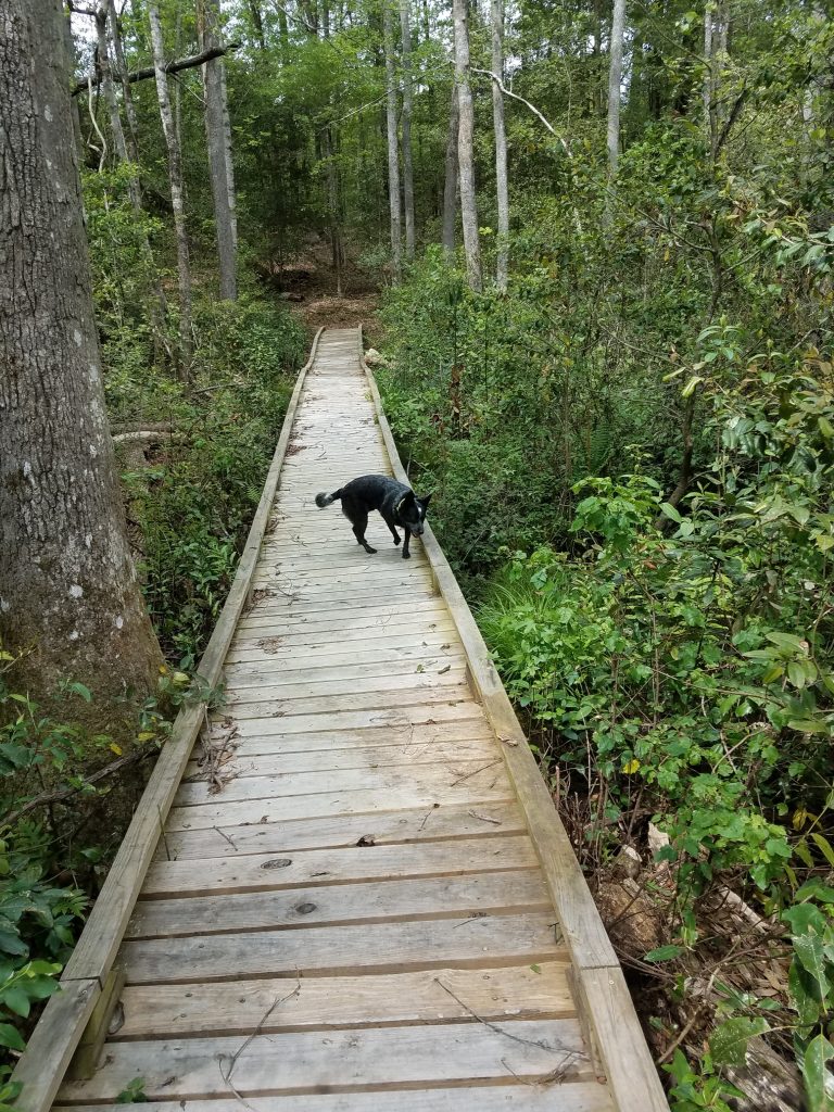 Lake Marion Passage - a perfectly good foot bridge
