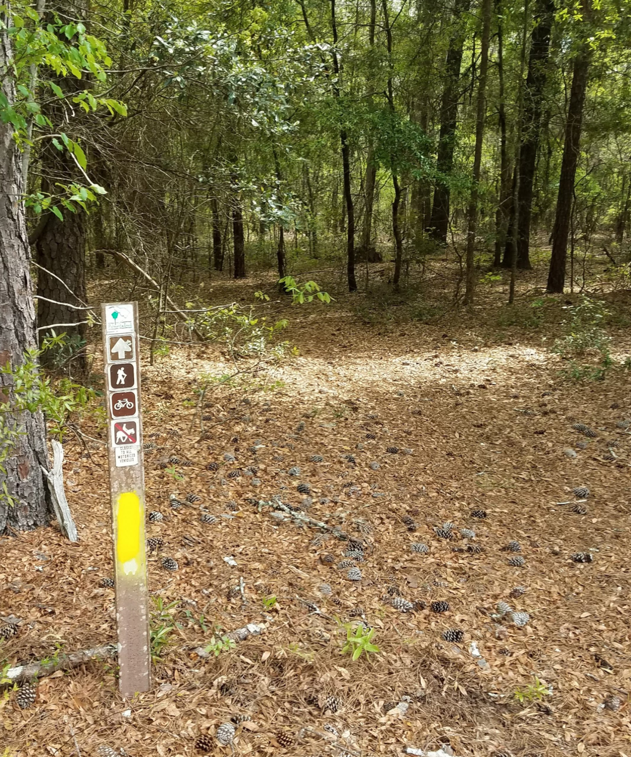 Lake Marion Passage