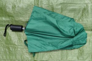 10 Essential Item Umbrella