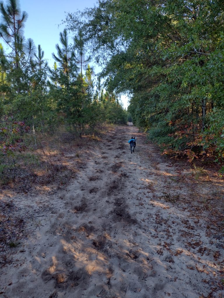 High Hills of Santee Passage heading out