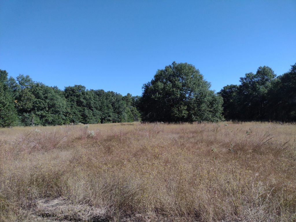 High Hills of Santee Passage open field