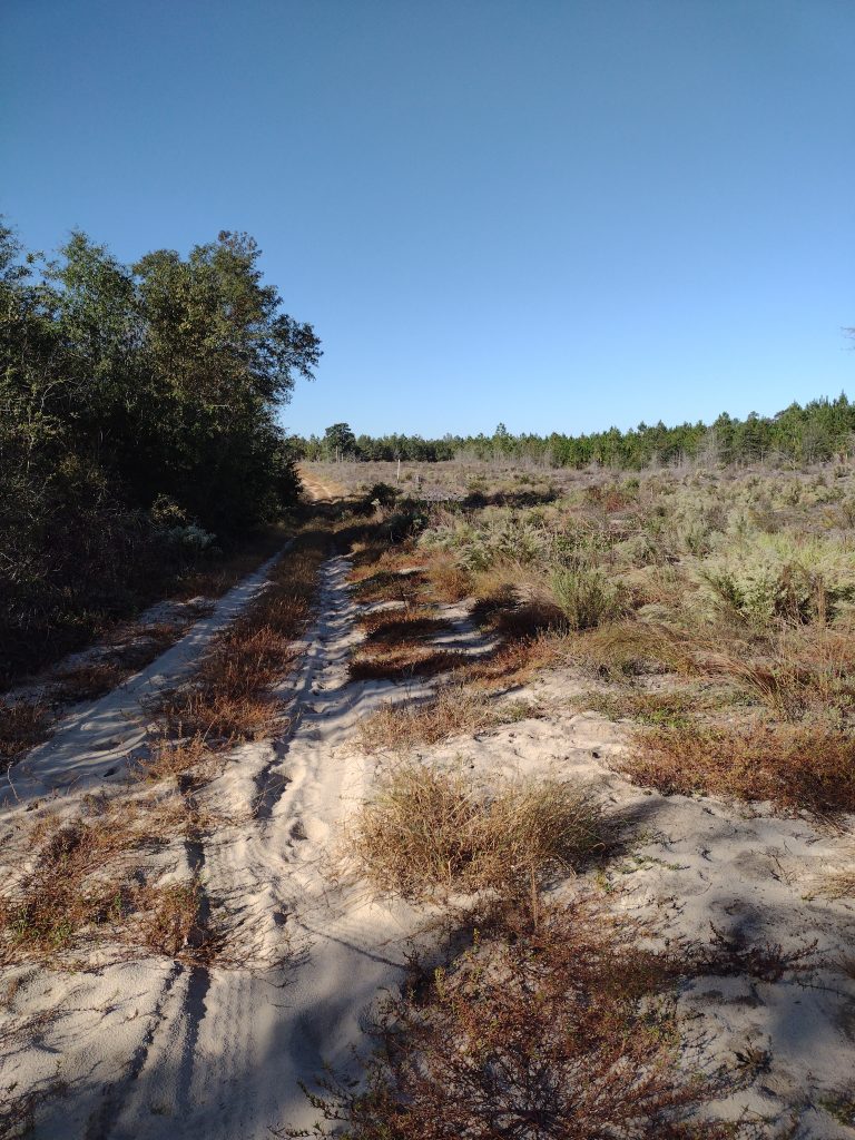 High Hills of Santee Passage sandy trail