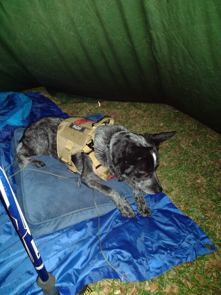 Radar's first night tarp camping