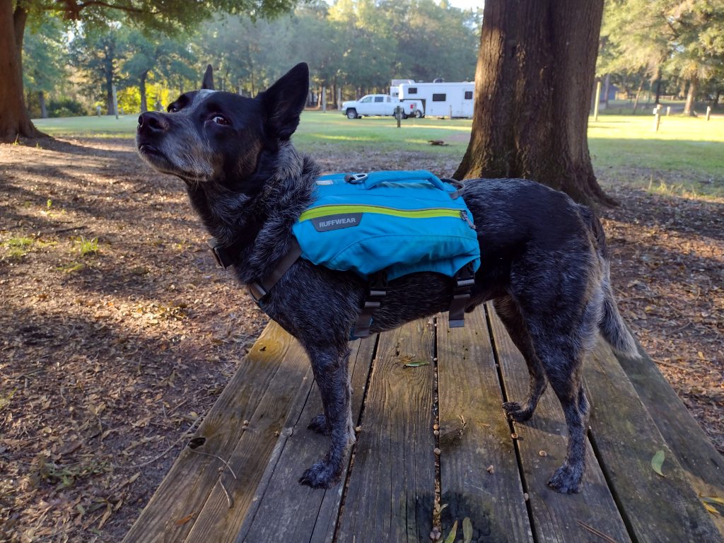 Radar is ready to hike