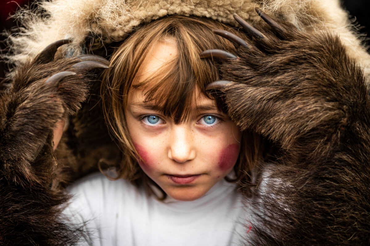 Bear in the backyard