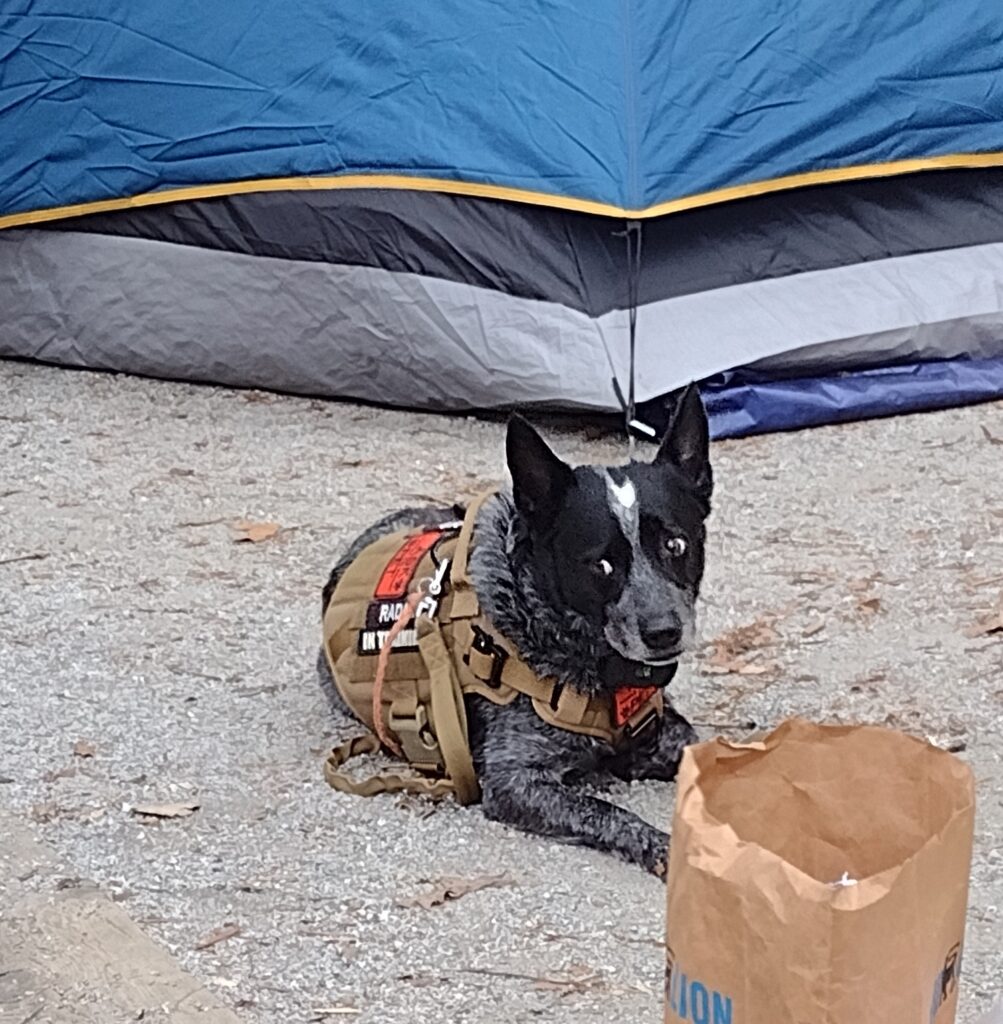 Devils Fork, Radar in camp