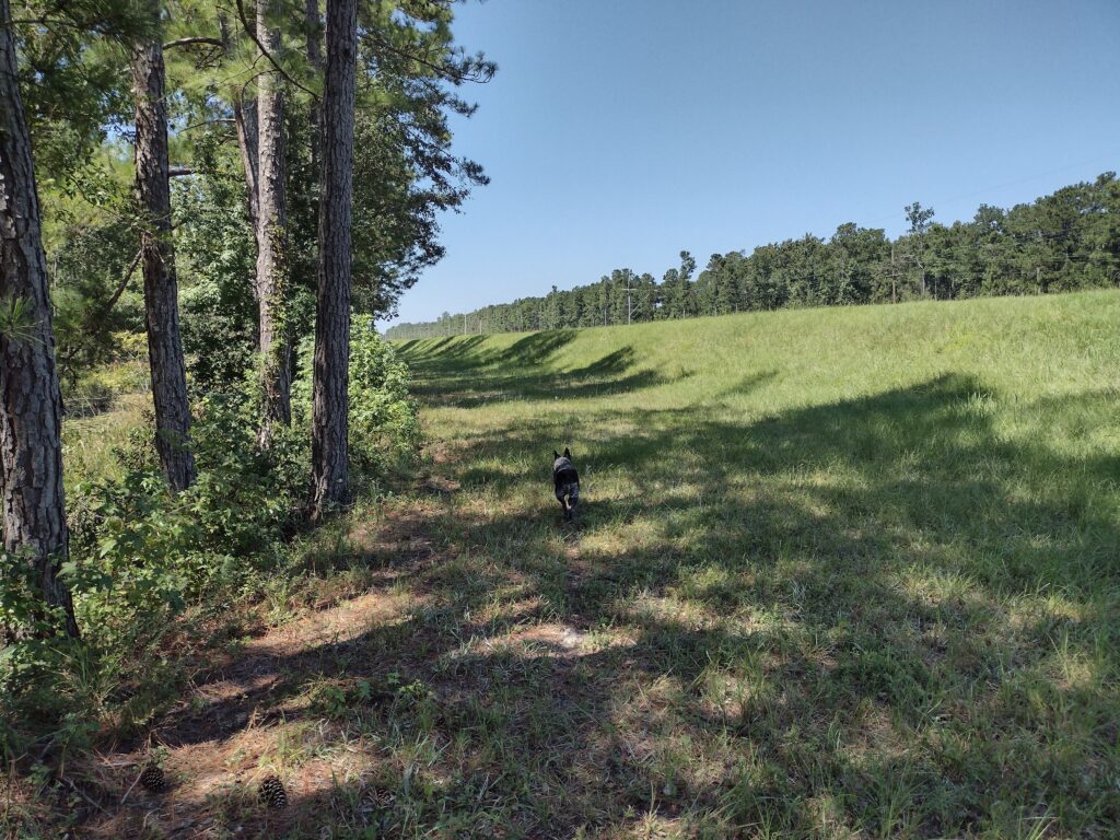 Hiking the shade along the dike.