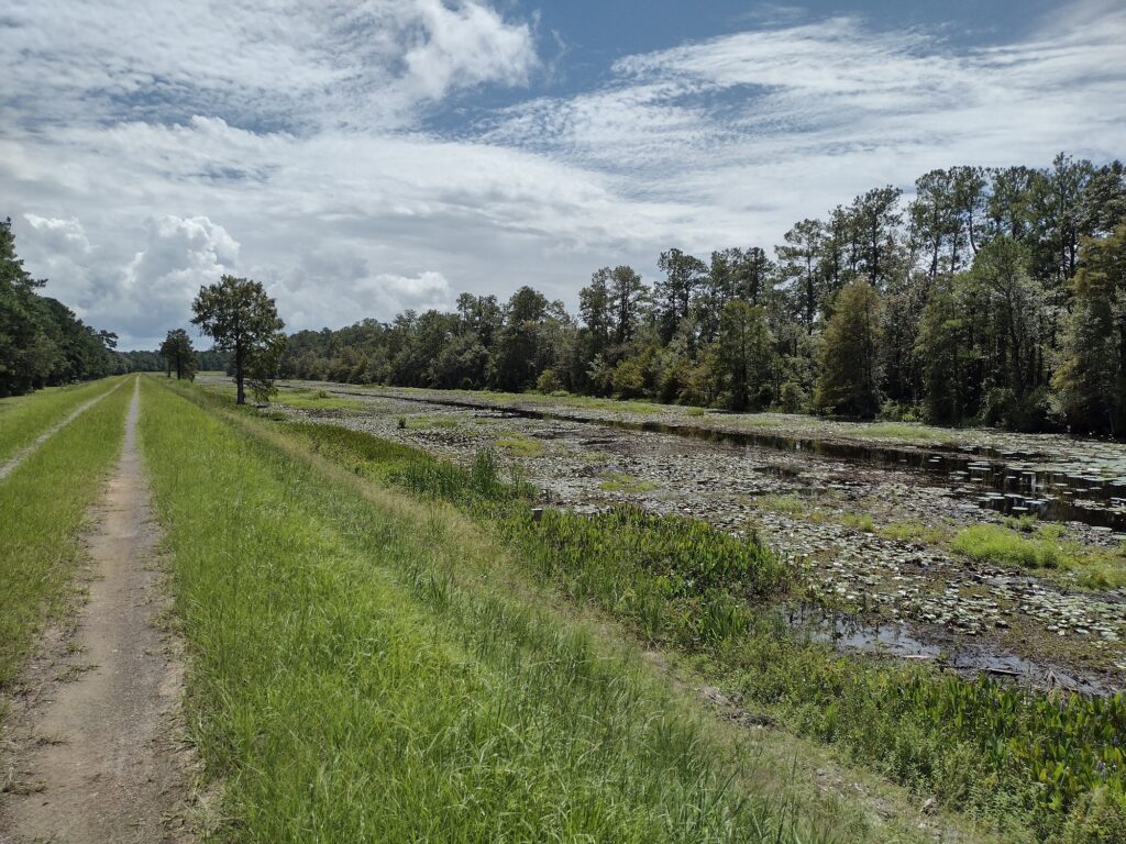 Heading out on the trail.