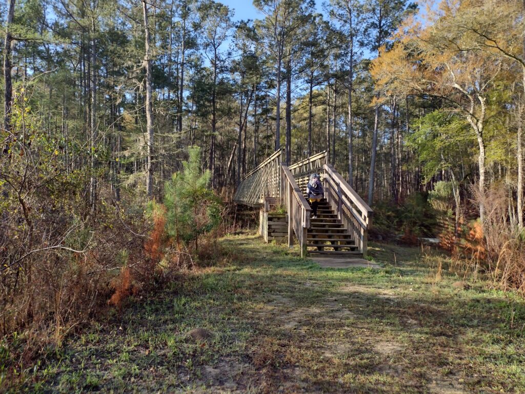 Swamp Fox Trail Hike bridge 1