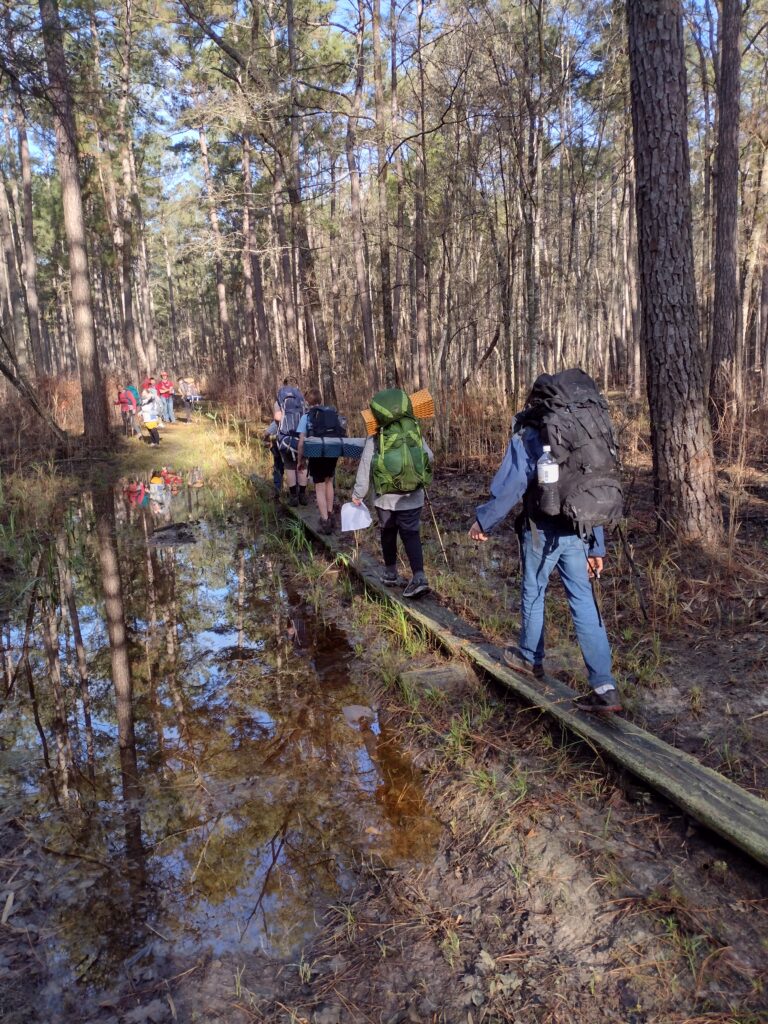 Swamp Fox Trail Hike elevated walk