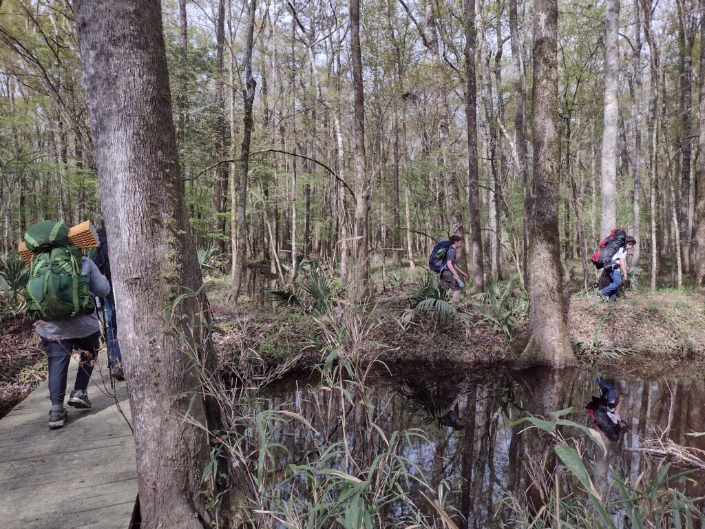 Swamp Fox Trail Hike boardwalk1