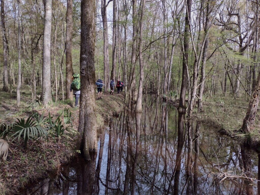 Swamp Fox Trail Hike boardwalk 2