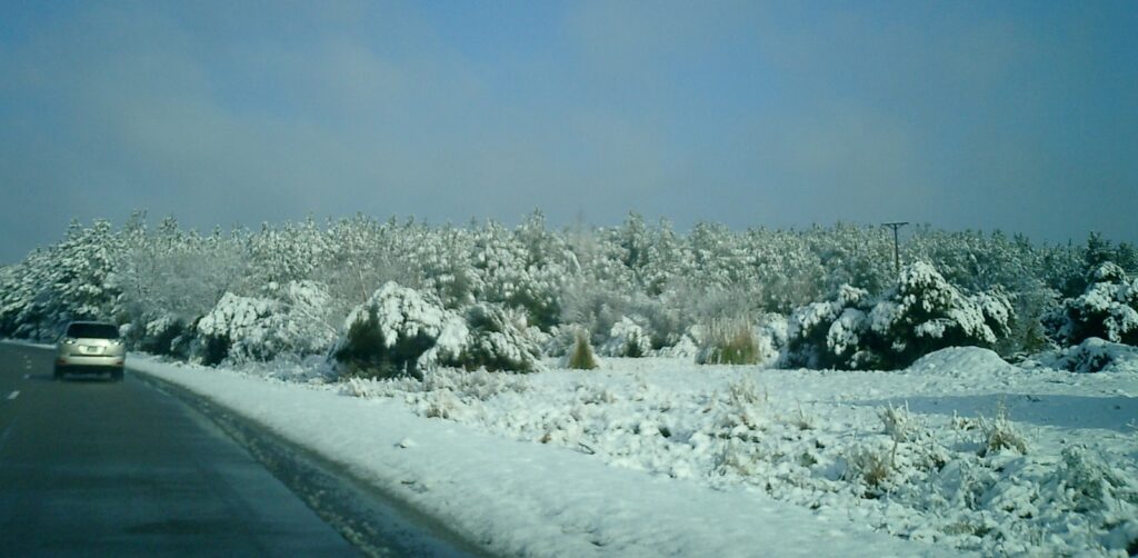 2010 Snow Storm Effect