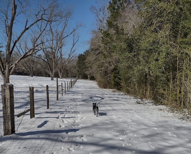 2025 Snow Storm - Radars First Snow