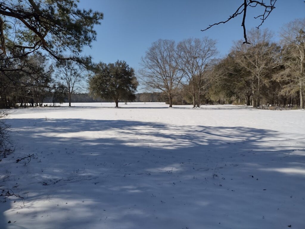 2025 Snow Storm Effect