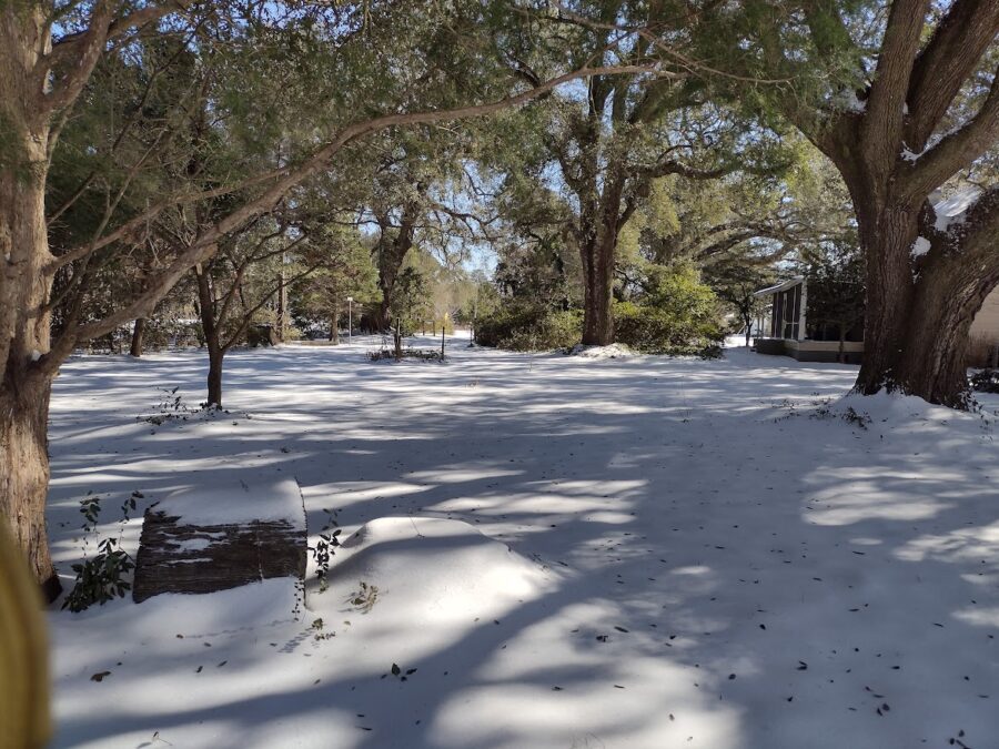 2025 snow storm our yard