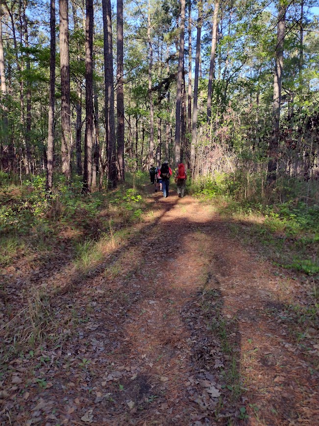 On the Swamp Fox Trail