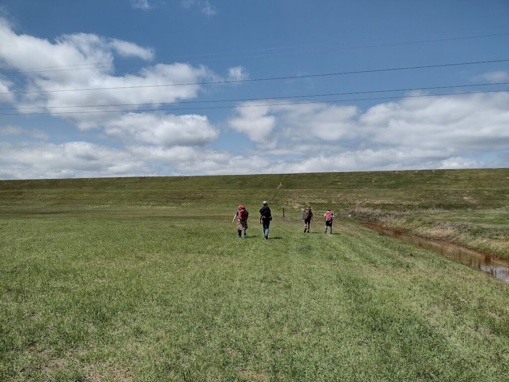 Out of the Woods and on to the Dike